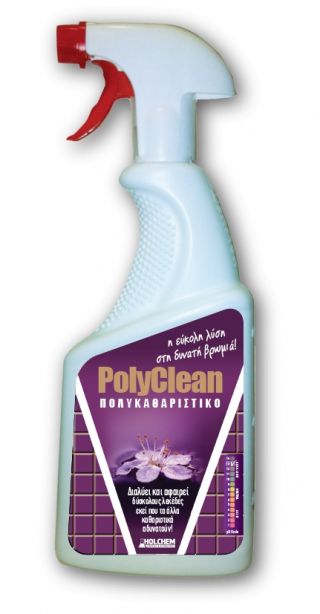 Polyclean 0,710L